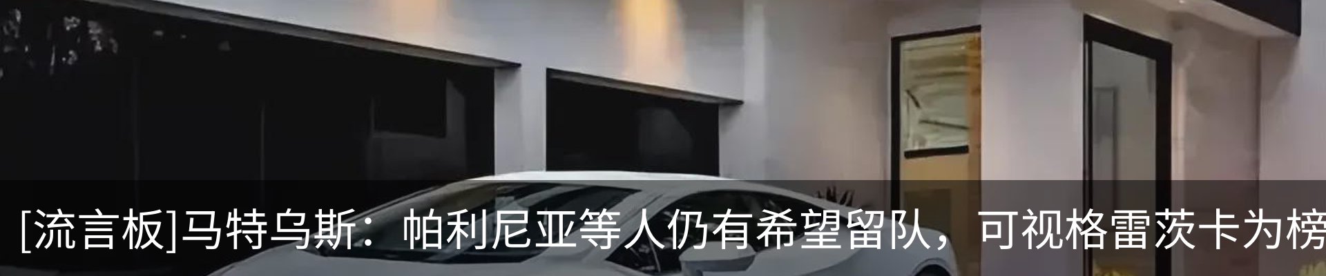 最新动态